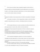 Trabajo practico de electricidad. Magnitudes