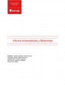 Informe antecedentes y referentes. Empresa Totalwood