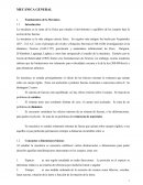 Mecánica general. Idealizaciones de la mecánica