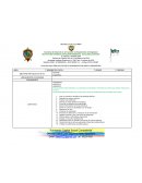 Formato plan de aula por ciclos y periodo