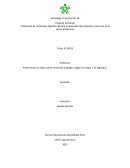 Evidencia: Presentación en vídeo sobre animación análoga o digital no mayor a 15 segundos