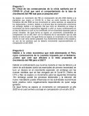 Las consecuencias de la crisis sanitaria por el COVID-19