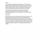 Fenoles. Carotenoides y xantófilas