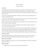 Brief Investigacion de mercados. Bodega del Canasto