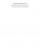 Análisis financiero Distrilacteos Ltda