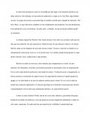 El origen y evolución de The New Wave: Un movimiento musical colectivo surgido en la Televisión peruana