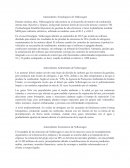 Antecedentes tecnológicos, ambientales y economicos de Volkswagen