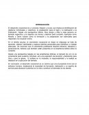 Desarrollo vocacional:un camino de servicio y compromiso