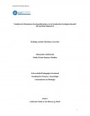 Análisis de dinámicas socioambientales en la fundación ecológica Bacatá (El Gavilán Sabanero)