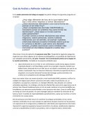 Guía de análisis y reflexión individual