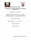 La orientación familiar en casos de diversidad evolutiva y /o cultural en relación a los prerrequisitos de la integración educativa