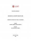 Seminario de Derecho de familia y sucesiones