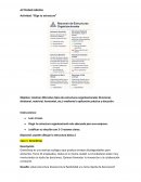 Actividad grupal Estructuras organizacionales “Elige tu estructura”