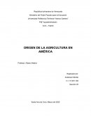 Origen de la agricultura en América