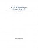 La importancia de la neuropsicología