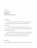 Estrategia de negocios Empresa seleccionada SAESA (Sociedad Austral de Electricidad)