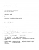 Ley Federal del Trabajo vs Ley Federal de Los Trabajadores al Servicio del Estado