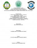 Un sueño imposible de Dorothy Brown