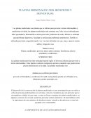 Plantas medicinales usos, beneficios y desventajas