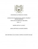 Direccion de empresas familiares. Reseña crítica “El circo”