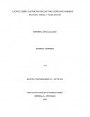 Trabajo escrito sobre: sustancias psicoactivas, Derechos Humanos