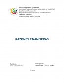 Razones financieras, Productora Andina de Electrodomésticos S.A