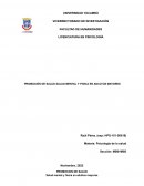 Promoción de salud mental y fisica en adultos mayores