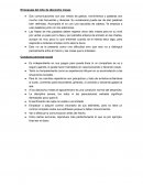 La construcción de niño. El lenguaje del niño de dieciocho meses