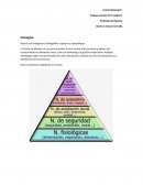 Piramide de Maslow. Ejemplo de productos que cubran los cinco niveles de la pirámide