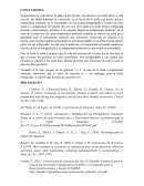 Bioprocesos. Determinación experimental de la vida útil de la palta y la leche bajo diferentes condiciones de conservación
