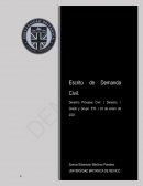 Escrito de Demanda Civil