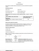 Ejercicios Industria Metalúrgica