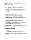 Sistemas de seguridad critica y ejemplo