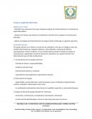 Clase 6: Equipos efectivos