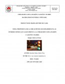 Pertinencia de la ubicación de los semaforos en las intersecciones las calles frente a la Unidad Educativa Jm Jijon Caamaño y Flores