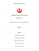 Analisis de mercado de abrigos de alpaca del Peru en la plataforma Veritrade