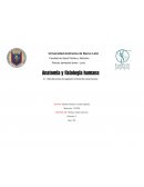 Anatomia y fisiologia humana. Tabla del proceso de regulacion hormonal del cuerpo humano