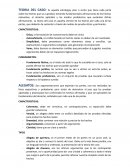 Teoría del caso, Características, fundamentos, alegatos, tipos y sujetos procesales en el contexto legal