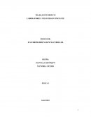 Trabajo informe N2 Laboratorio 2 Velocidad constante