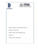 Resumen Sistema financiero mexicano. Banco de México