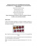 Reporte de práctica No.5 Determinación de bacterias coliformes por la técnica conteo en placa con agar bilis rojo violeta