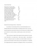 Homilía del Cuarto Domingo de Pascua – El Buen Pastor