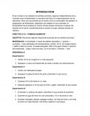 Práctica # 10. "Cambios químicos"