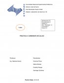 Práctica laboratorio de química: Carbonato de calcio