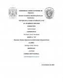 Historia natural de la enfermedad: Esquizofrenia