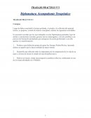 Trabajo practico 1 Diplomatura acompañante terapéutico