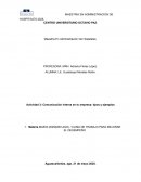 Actividad 3: Comunicación interna en tu empresa: tipos y ejemplos