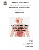 Fisiología y fisiopatología. Sistema digestivo