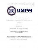 Ensayo que describa las fórmulas de cooperación en los servicios portuarios: alianzas estratégicas para optimizar espacios, operaciones y competitividad