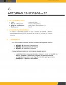 Caso: La organización Avefenix SAC